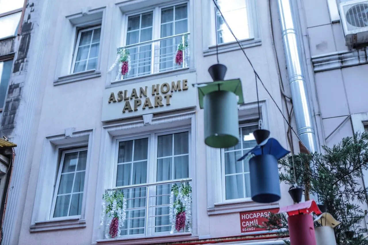 Aslan Home Apart Istanbul Turkey
