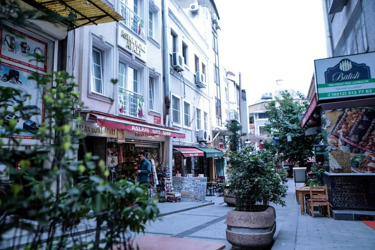 Aslan Home Apart Istanbul